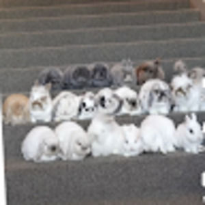 Meet your Posher, Camille